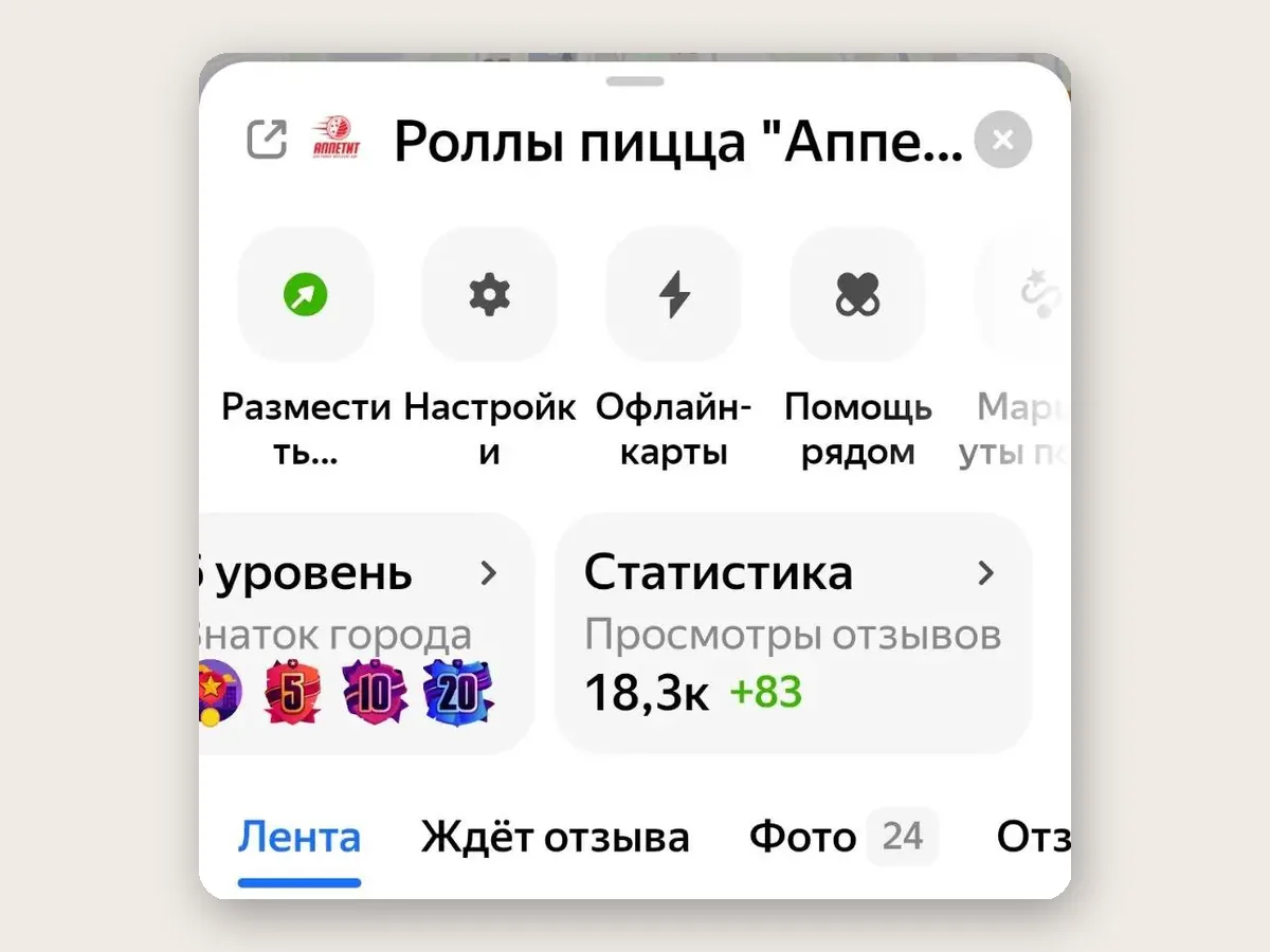 Профиль на Яндекс Картах: название «Роллы пицца „Аппетит“», логотип, уровень «Знаток города» и статистика — 18,3 тысячи просмотров отзывов